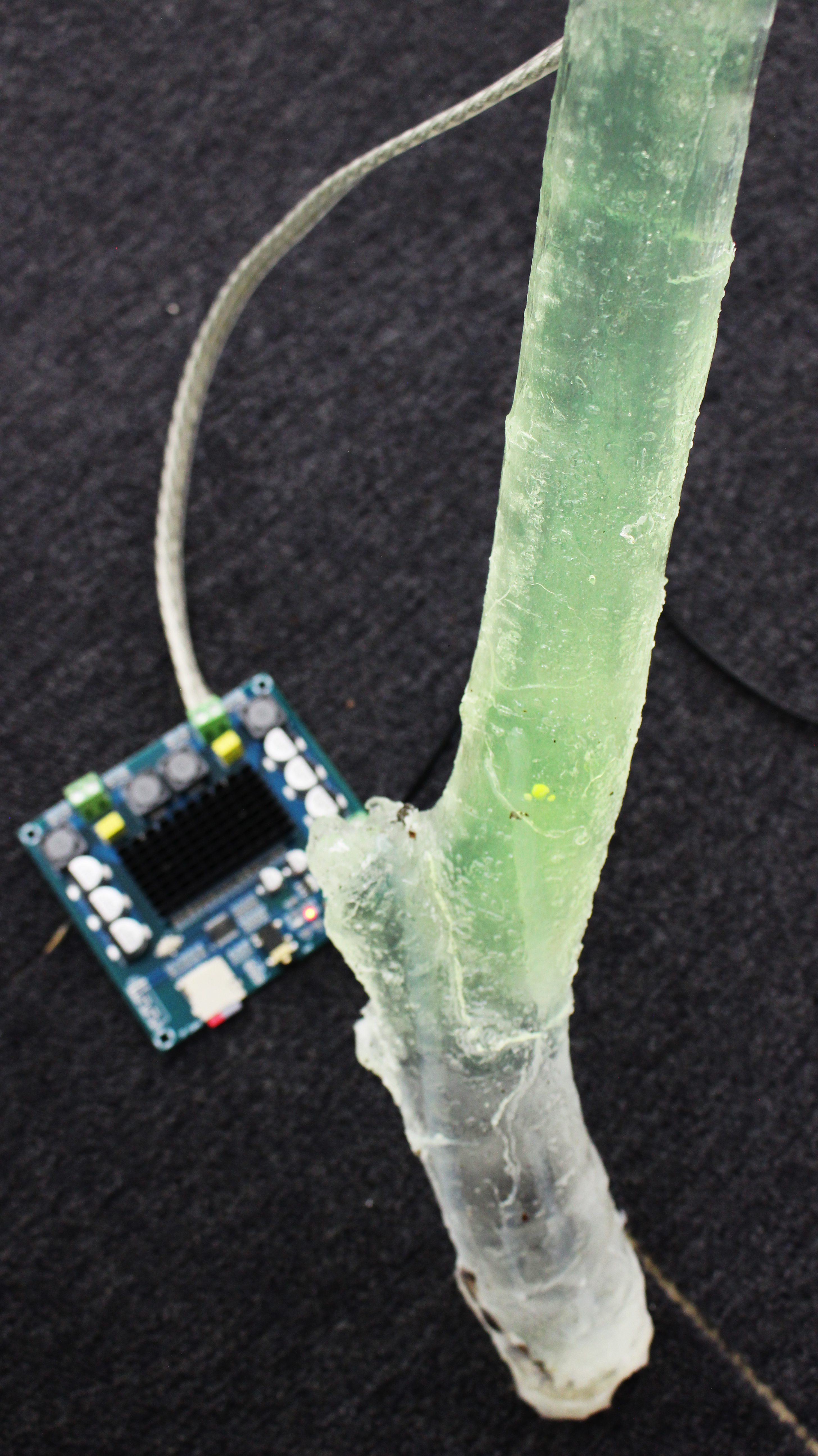 TAT 전시 이미지